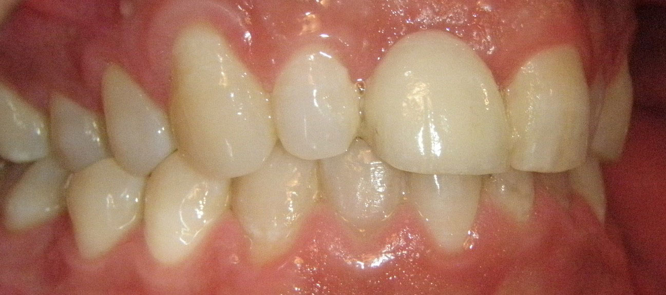  html    head  title 500 Internal Server Error  title   head    body    center  h1 500 Internal Server Error  h1   center    hr  center nginx 1.29.3  center     body     html 